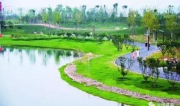 汝州都市爆料最新消息,都市风云再起，揭秘背后惊人真相！